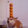 Julia Lech