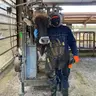 Mistrz Cichego Kęsa