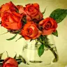 29 coeur mort